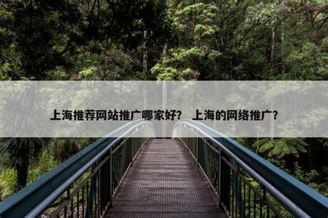 2025年01月測評 上海移動端網絡推廣與高端軟件外包服務深度解析